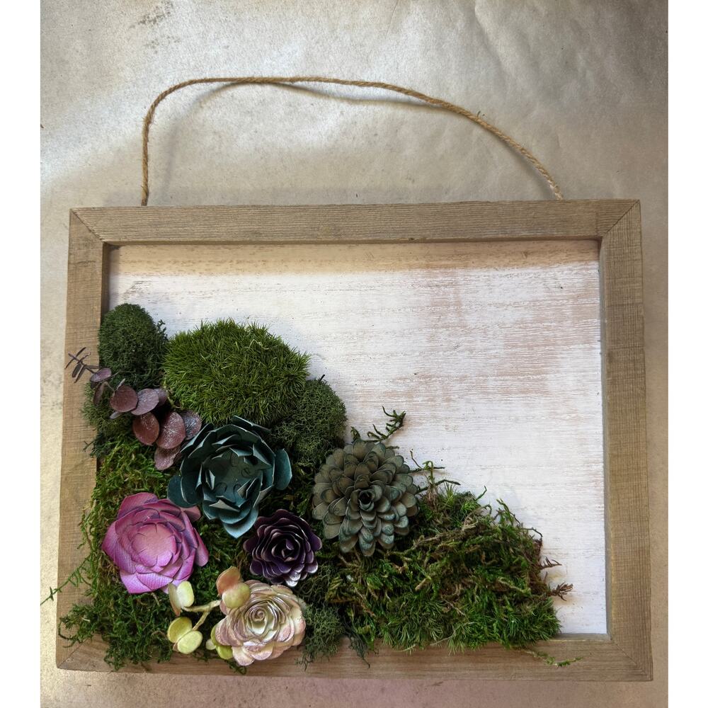 Handmade 8x10 Preserved Moss Wall Art w/ Paper Succulents Rustic Botanical Decor - Picture 6 of 12